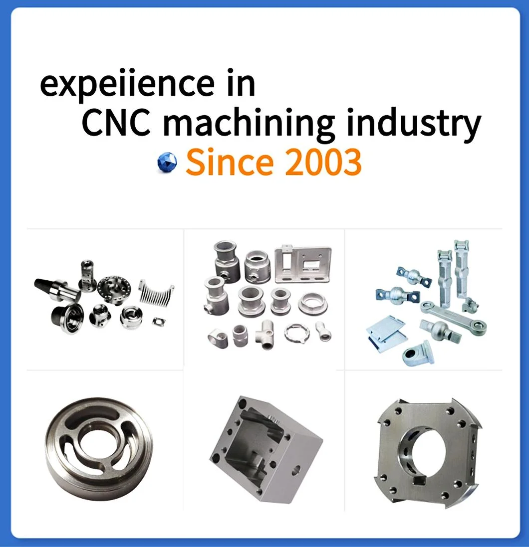 Stainless Steel Precision Forgings/Mechanical Parts/Auto Parts